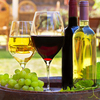 Know Here All About Wine tours in Mcminnville