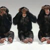 このままでは、日本は「見ざる言わざる聞かざる」社会へ