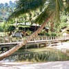 Tioman(Malaysia)