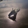 Christine Haroutounian&“Yerazeluts heto”/アルメニア、夢の後に黙示録は来たる
