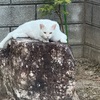 コーヒータイム。