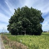 浅間塚  加須市上樋遣川