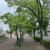20年前の場所と「ちびっ子さん」たち