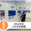 【のもざきの小さな水族館】2025年NEW Open。木のおもちゃも楽しい！