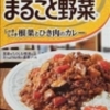 まるごと野菜 しゃきしゃき根菜とひき肉のカレー