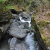 立夏の綱附森遊山　辿るみち