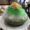 【愛知】ツーリングスポット　伊良湖に季節限定スイーツ（メロンかき氷）を食べにいくゾ　