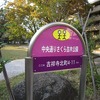 中央通さくら並木公園（東京都武蔵野市）