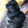 新型コロナによる臨時休校中の子供達へ〜ちょっと心配な事