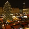 現地在住10年目の私がおススメの特別なクリスマスマーケット＠ドイツ