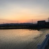 ブログを始めて3ヵ月になりました