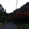 槇尾山口〜施福寺〜ダイヤモンドトレイル起点〜槇尾山〜追分〜滝畑ダム〜カキザコ〜岩湧山〜岩湧山三合目〜天見駅縦走