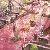  「最後の医者は桜を見上げて君を想う」　読書(^^♪