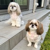 暗くなっても暑さは変わらず