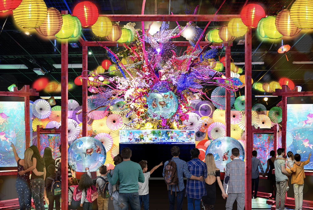 「錦鯉・金魚アクアリウム in ときメッセ 」水と光が織りなす夏の幻想体験へ
