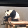 天才画家は誰だ!?上野動物園で写生大会!