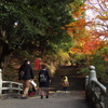 【栃木】唐沢山　紅葉と戦国山城ハイキング