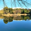 水戸黄門のお庭だったんだねって／東京小石川後楽園にて