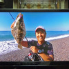 テレビでも釣り