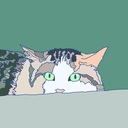 ミワの部屋