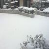 ○年に何度の大積雪