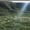 #76　南伊豆・冬の花めぐり