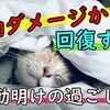 たったこれだけ！夜勤ダメージから回復する。その攻略法とは？