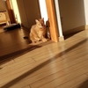 冬に向かう