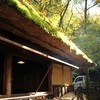 香嵐渓もみじまつり！香嵐渓広場～香積寺(昼)