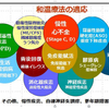難病が和温療法(低温サウナ)で治る理由