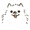 会話の相手は日本語でダイジョウブ✌️