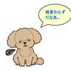 『Ｏriginal Ｓelection』捜索中です... 