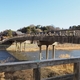 浅野川【橋巡り】№21・梅ノ橋