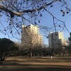 谷津公園