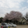 桜　2011　その二　〜Canon Power Shot S90 その十九〜