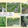 環境問題と農業（４）　二季化への対応（その二）