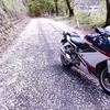 VFR800Fのクラッチが折れました・・・