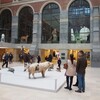 Rijks Museum--アムステルダム国立美術館