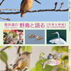 散歩道の 野鳥と語る 旅野ひろし作