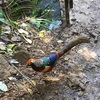 ＊ 旅記録 ＊ Abel Tasman National Park 