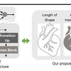 Learning Active Contour Models for Medical Image Segmentation