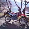 凍りつくわ。CRF