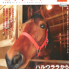 高知でハルウララにａｉｔａｉ　高知競馬Official Book 2004