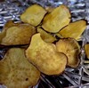 フードドライヤーでいろいろ