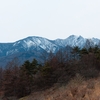 真冬の八ヶ岳・美し森を歩く