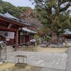弘法大師が住職を務めたお寺 香川県観音寺市「観音寺」（その85）