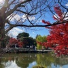 「東山」界隈と「東寺」～京都紅葉めぐり（その３）