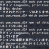 bash dockerの削除は sudo yum erase docker-io で行う（末尾 に -io が付く）