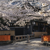 京都・祇園白川