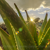 Iseya-Shinsuke Photography tour in Namibia pt.26